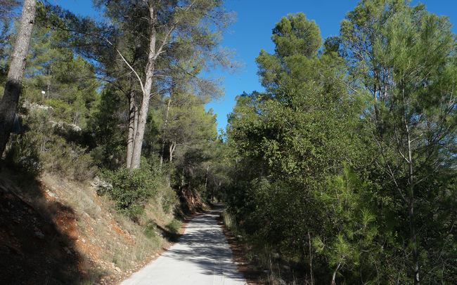 03-Camino asfaltado hacia Vía Verde del Serpis