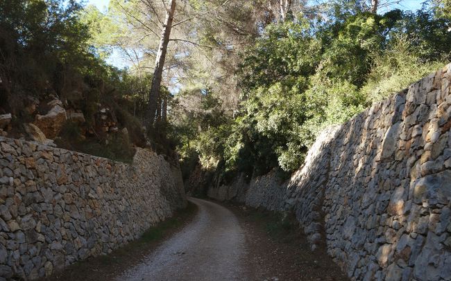 06-Trincheras en la Vía Verde del Serpis