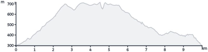 Perfil altimétrico
